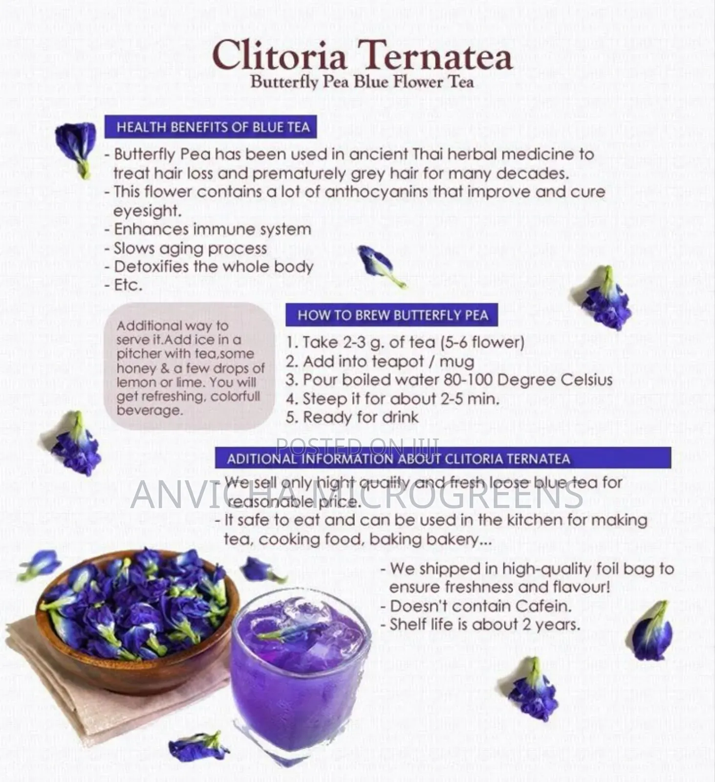 Butterfly Pea