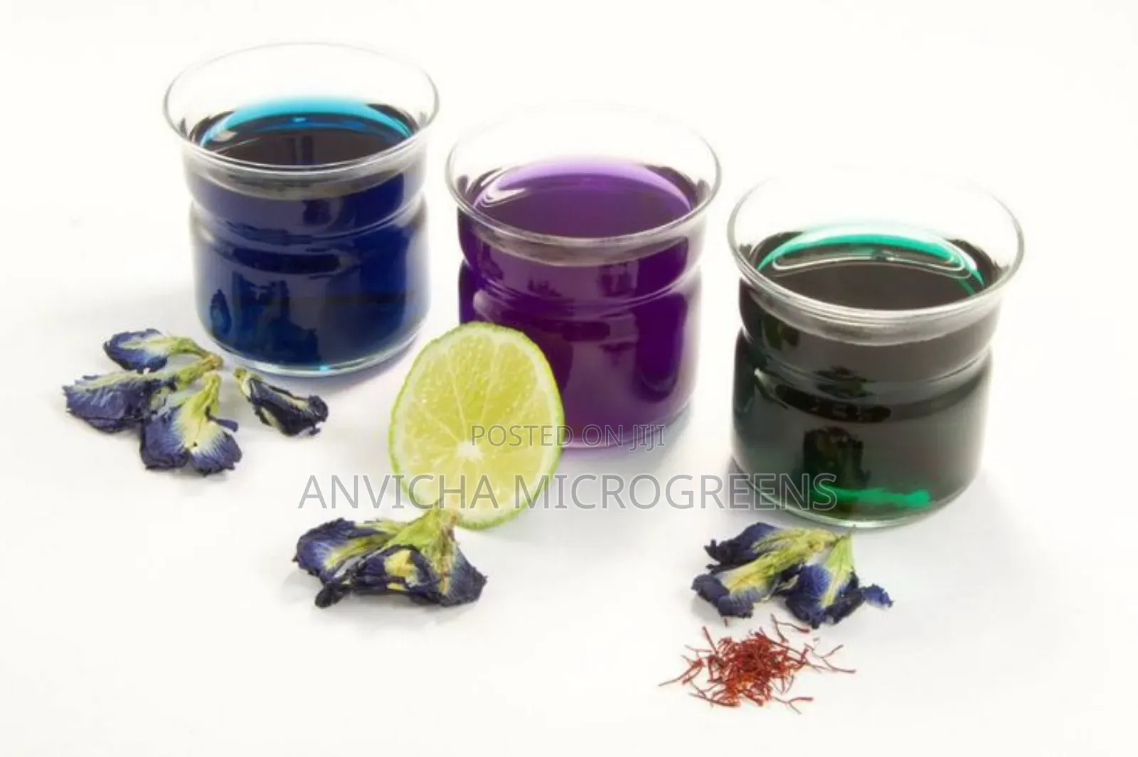 Butterfly Pea