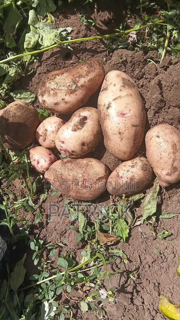 Potatoes Wholesale and Retail