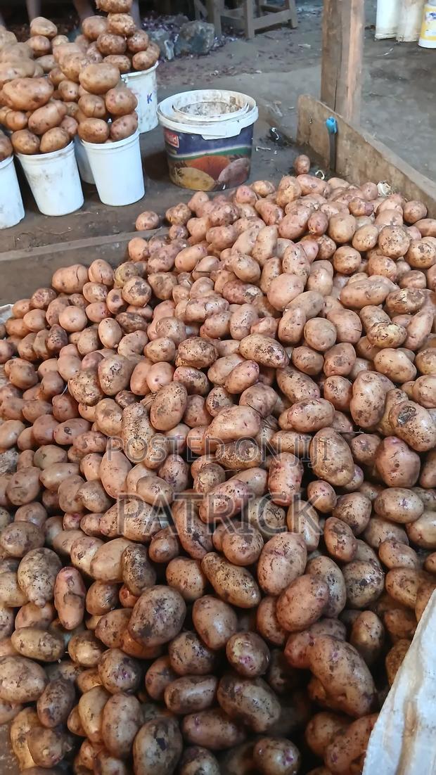 Potatoes Wholesale and Retail - thumbnail 3