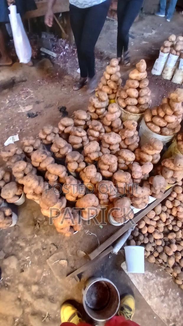 Potatoes Wholesale and Retail - thumbnail 4