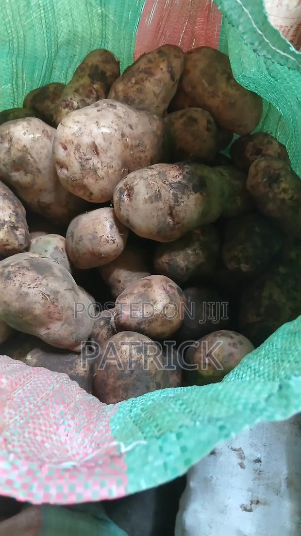 Potatoes Wholesale and Retail - thumbnail 8