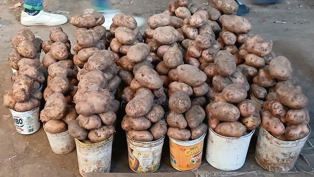 Potatoes Wholesale and Retail - thumbnail 9