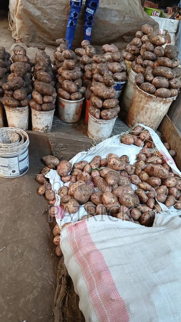 Potatoes Wholesale and Retail - thumbnail 11