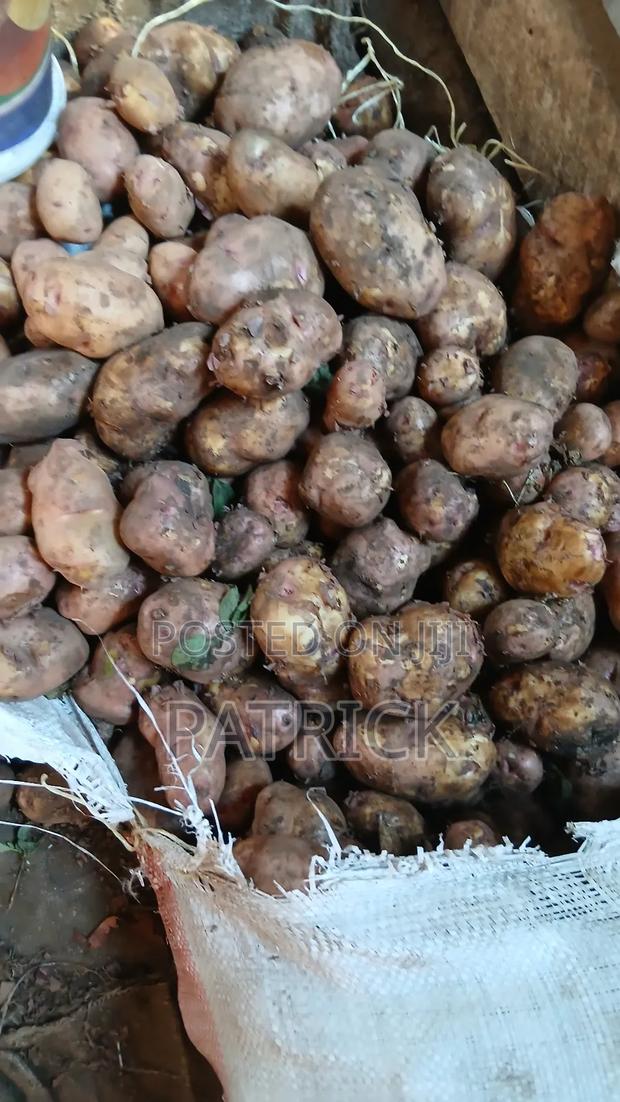 Potatoes Wholesale and Retail - thumbnail 12