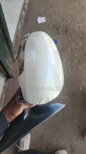 Mark X   2010-2013  Side Mirror