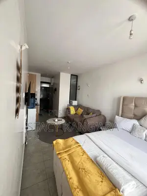Furnished Studio Apartment, Tsavo Roysambu