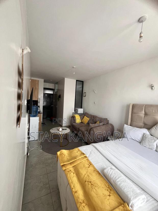 Furnished Studio Apartment, Tsavo Roysambu - main view