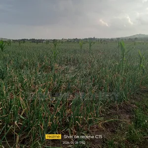 33acres Muthangira Nyeri.
