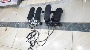 Home and Gym Workout Mini Stepper