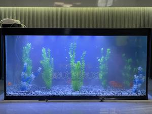 Aquarium With Fish - main view