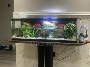 Aquarium Glass Tank