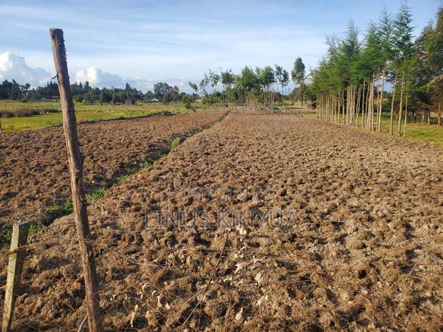 Agricultural Land for Sale