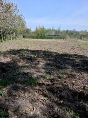 Deal! 100 by 100 Plot in Rimpa, Ongata Rongai Near Muthaura's Place