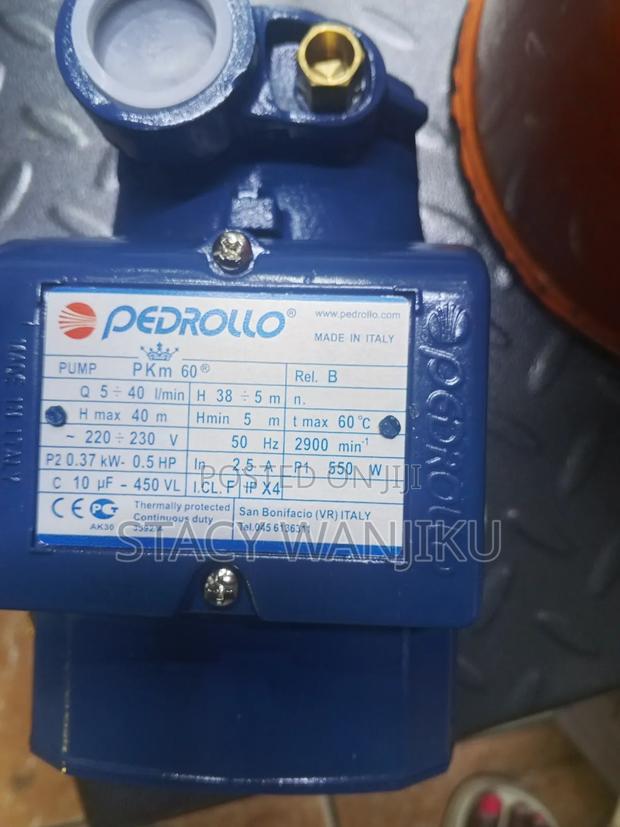 Quality Pedrollo Pump 0.5 Hp - main view