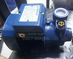 0.5 Hp Pedroll Booster Pump