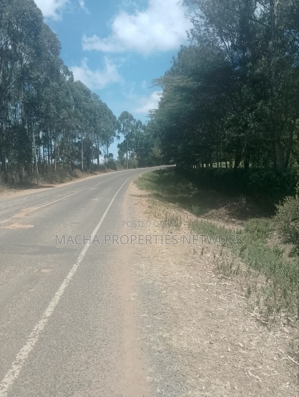 1/2 an Acre Mua Hills at the Peak Fronting Tarmac