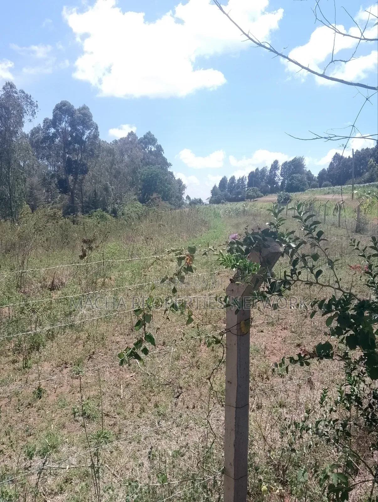 1/2 an Acre Mua Hills at the Peak Fronting Tarmac