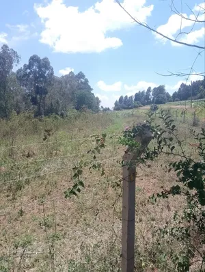 1/2 an Acre Mua Hills at the Peak Fronting Tarmac