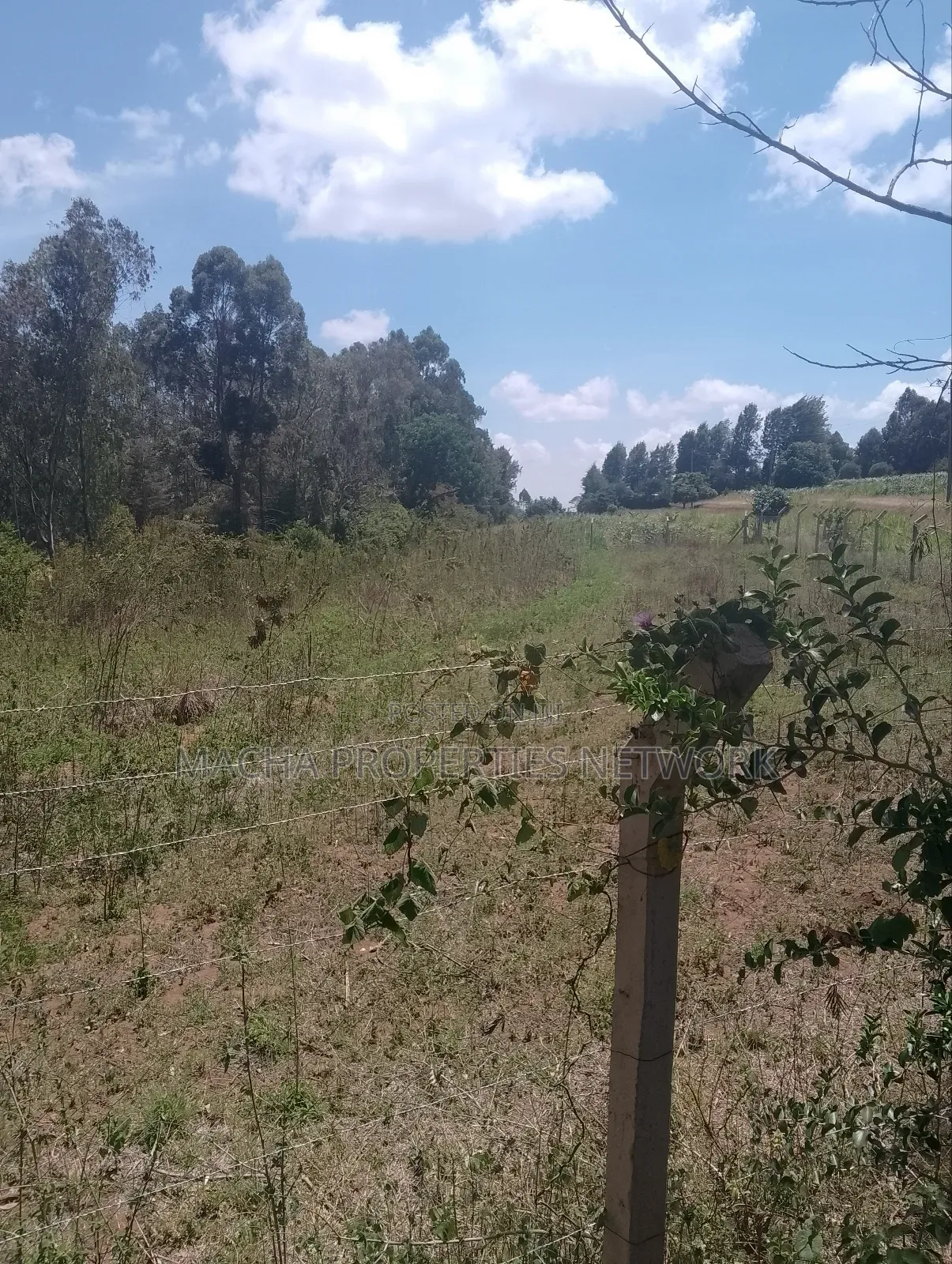 1/2 an Acre Mua Hills at the Peak Fronting Tarmac