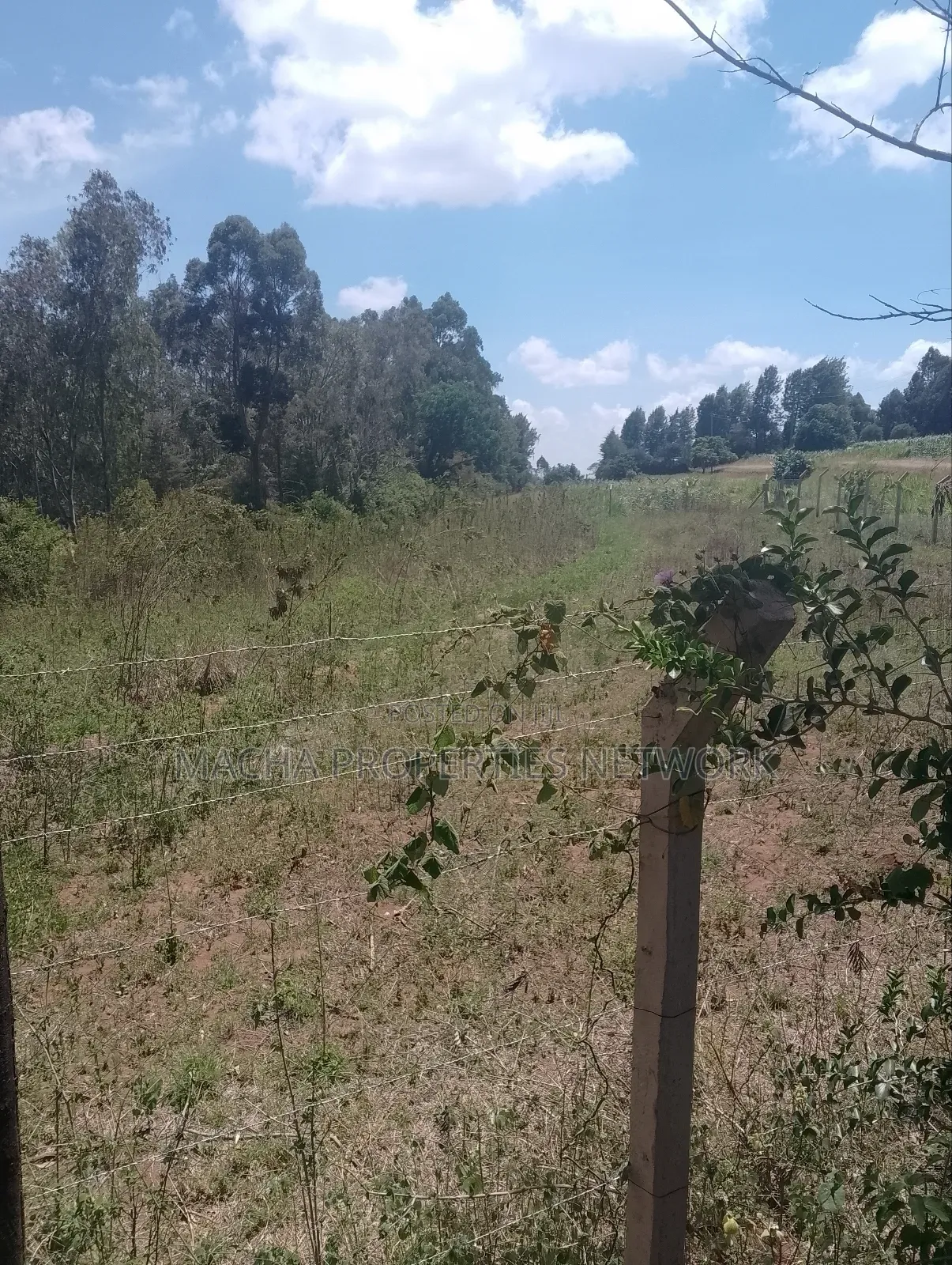 1/2 an Acre Mua Hills at the Peak Fronting Tarmac