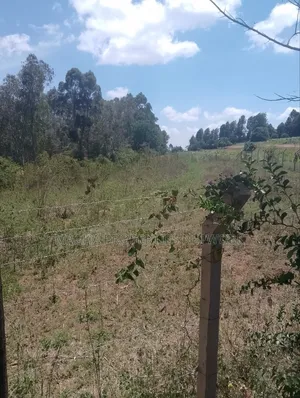 1/2 an Acre Mua Hills at the Peak Fronting Tarmac