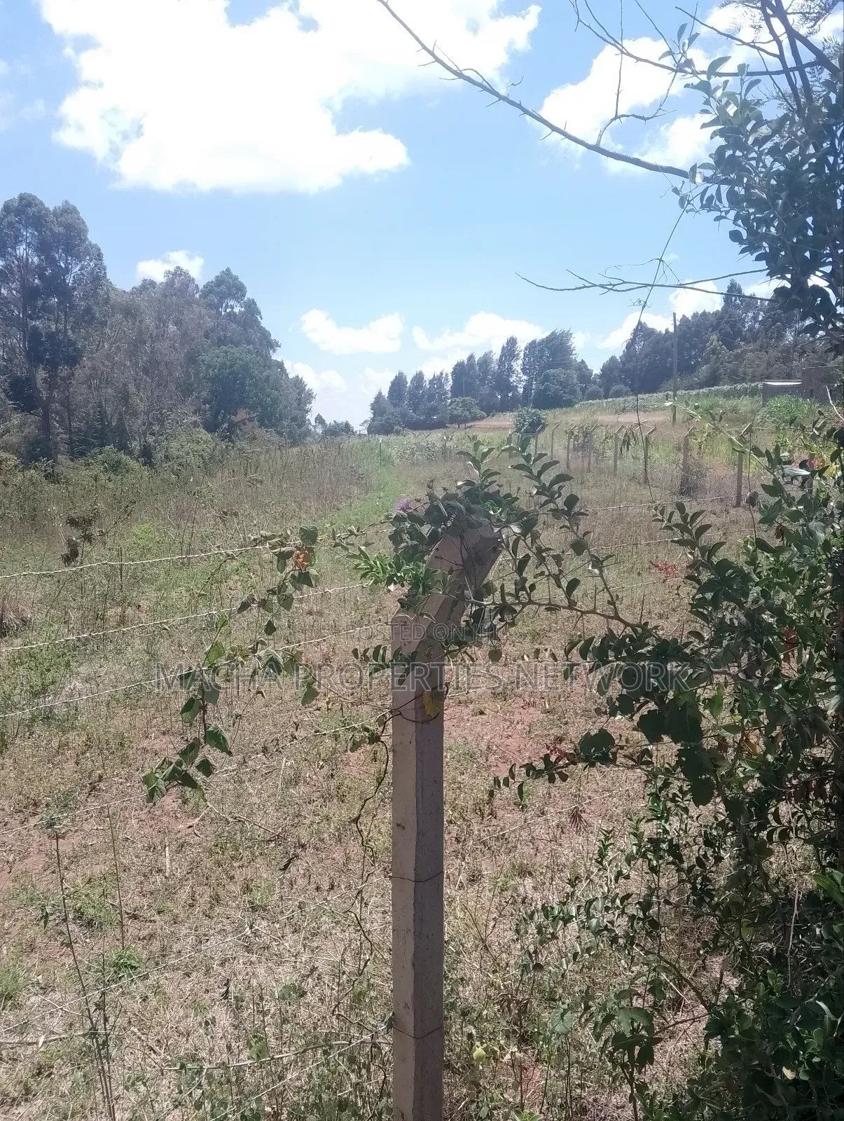 1/2 an Acre Mua Hills at the Peak Fronting Tarmac