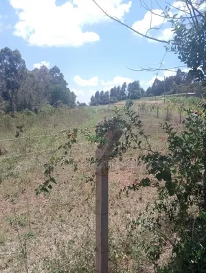 1/2 an Acre Mua Hills at the Peak Fronting Tarmac