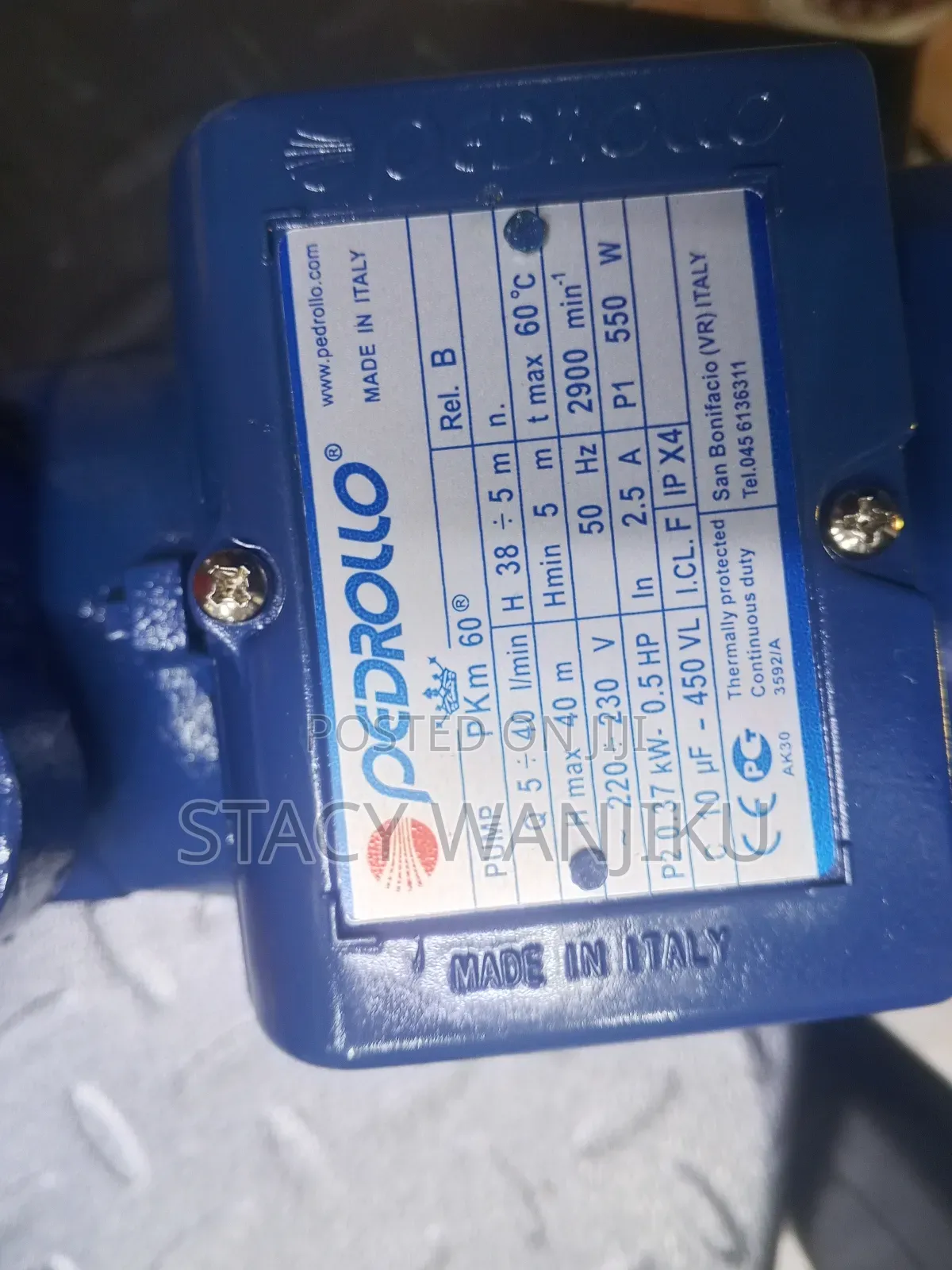 Well Performing 0.5hp Pump/ Pedrollo Water Pump