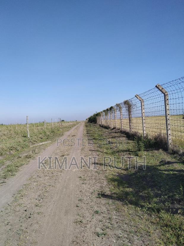 Joska Gardens 40 By 80 At - main view