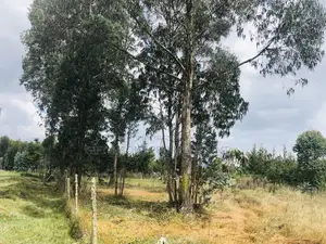 Quarter Acre Land for Sale Fronting the Tarmac in Kinangop