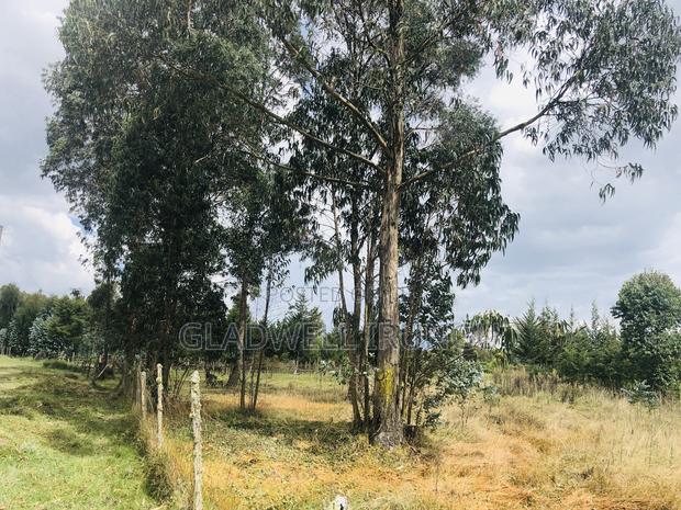 Quarter Acre Land for Sale Fronting the Tarmac in Kinangop