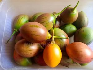 F1 Red Oriata, - main view