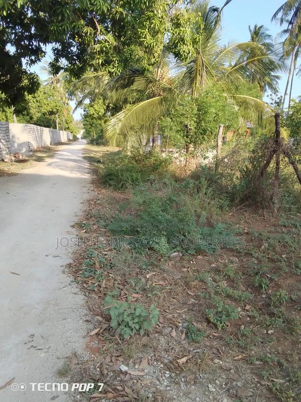 Plot For Sale In Gede - thumbnail 3