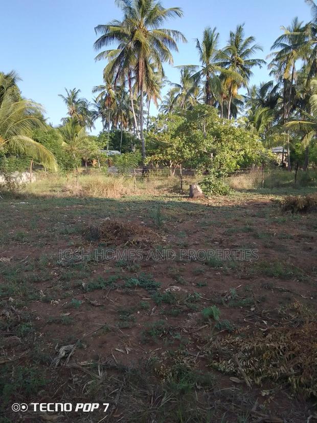 Plot For Sale In Gede - thumbnail 4