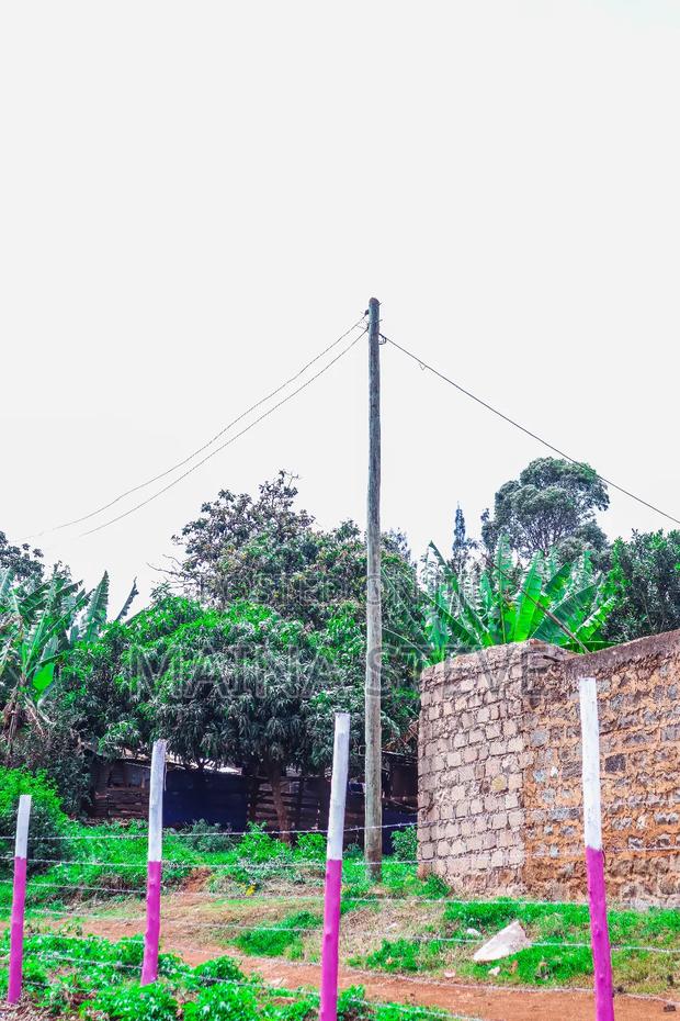 Kabati Plots for Sale - thumbnail 3