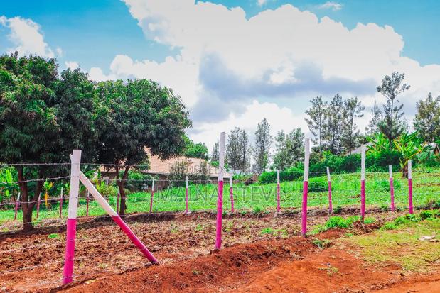 Kabati Plots for Sale - thumbnail 7