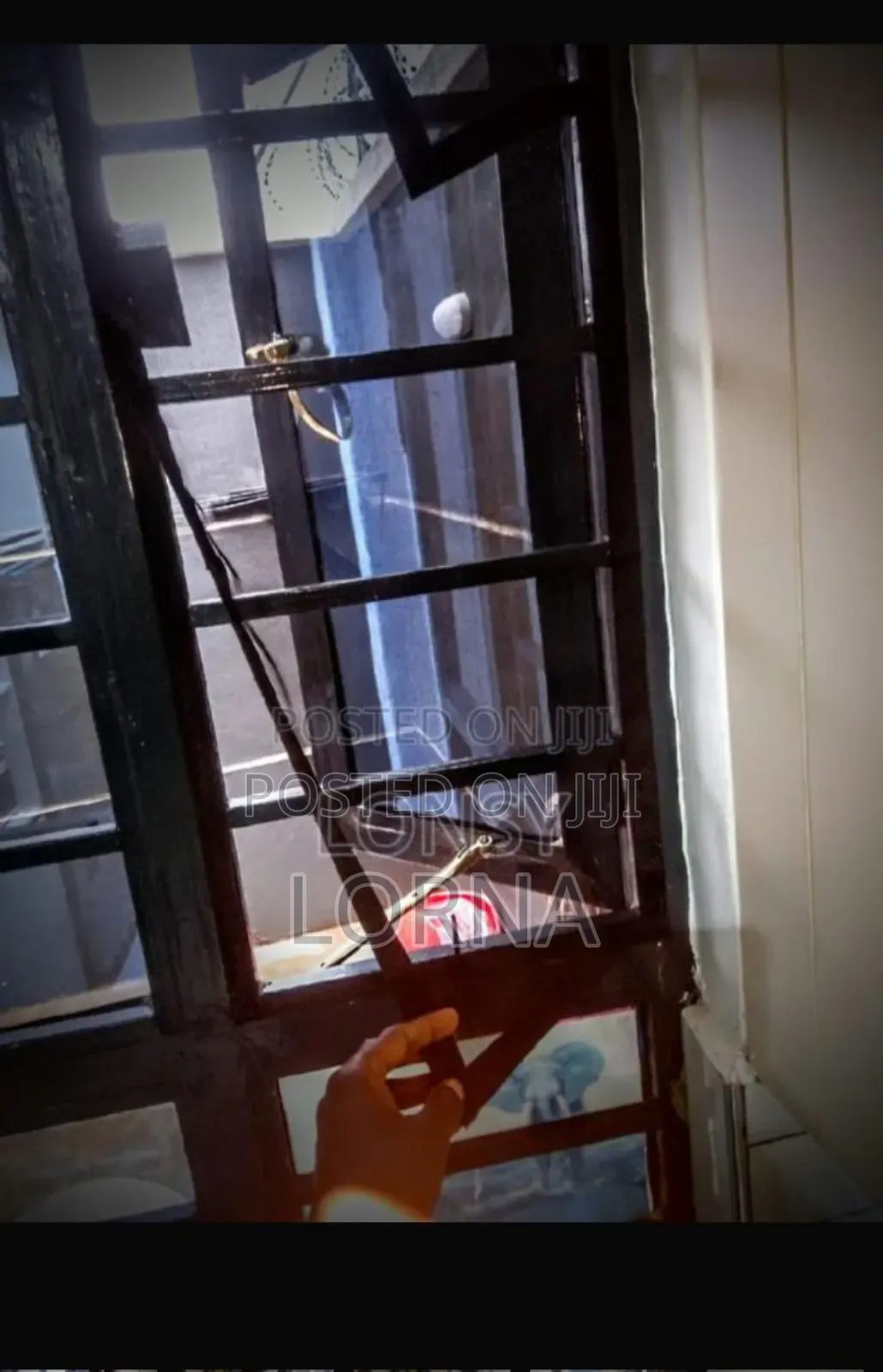 Window and Door Mosquito Net