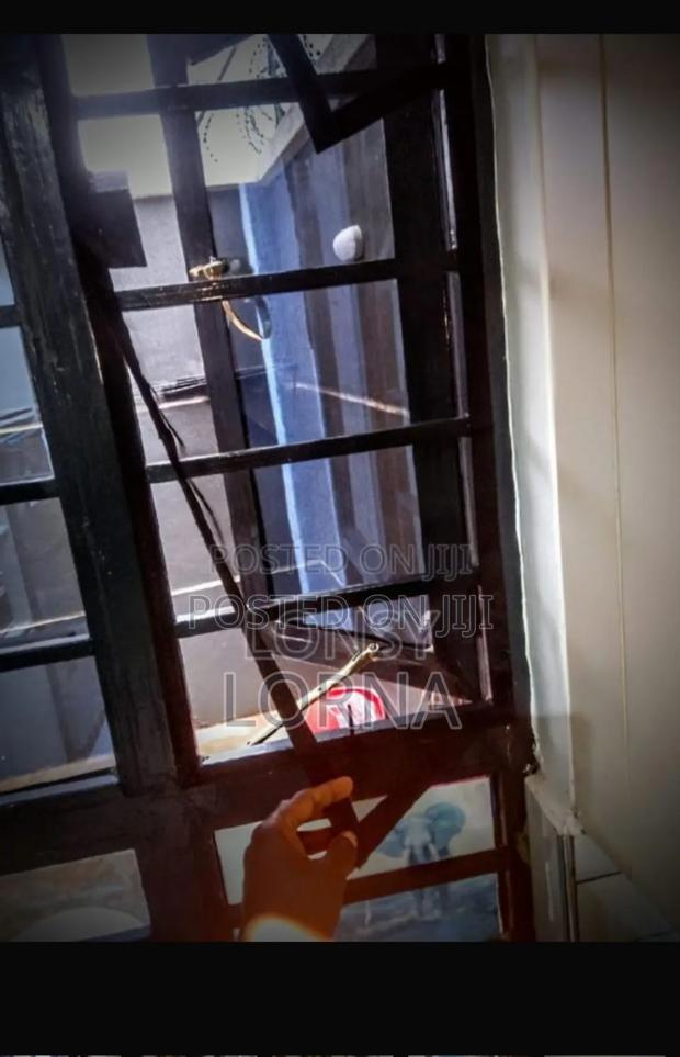 Window and Door Mosquito Net - thumbnail 2
