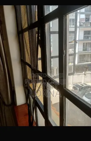 Window and Door Mosquito Net