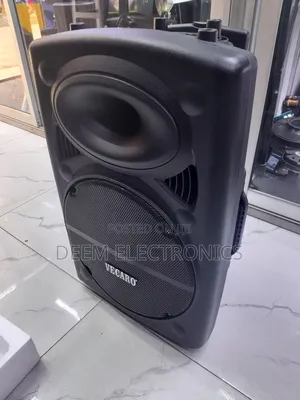 Rechargeable Speaker Vecaro 15"