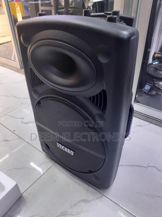 Rechargeable Speaker Vecaro 15"