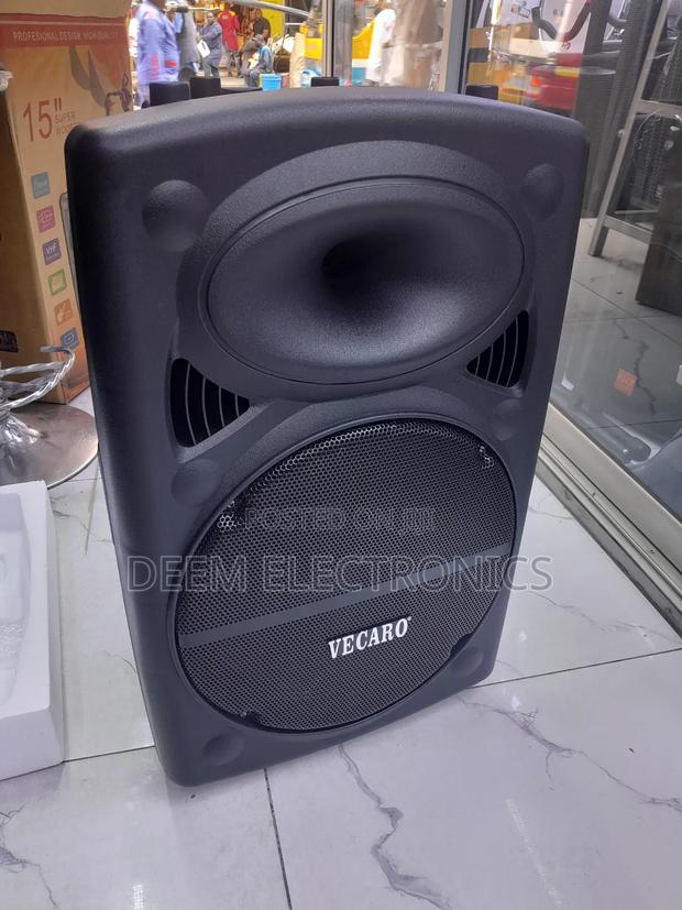 Rechargeable Speaker Vecaro 15" - thumbnail 3