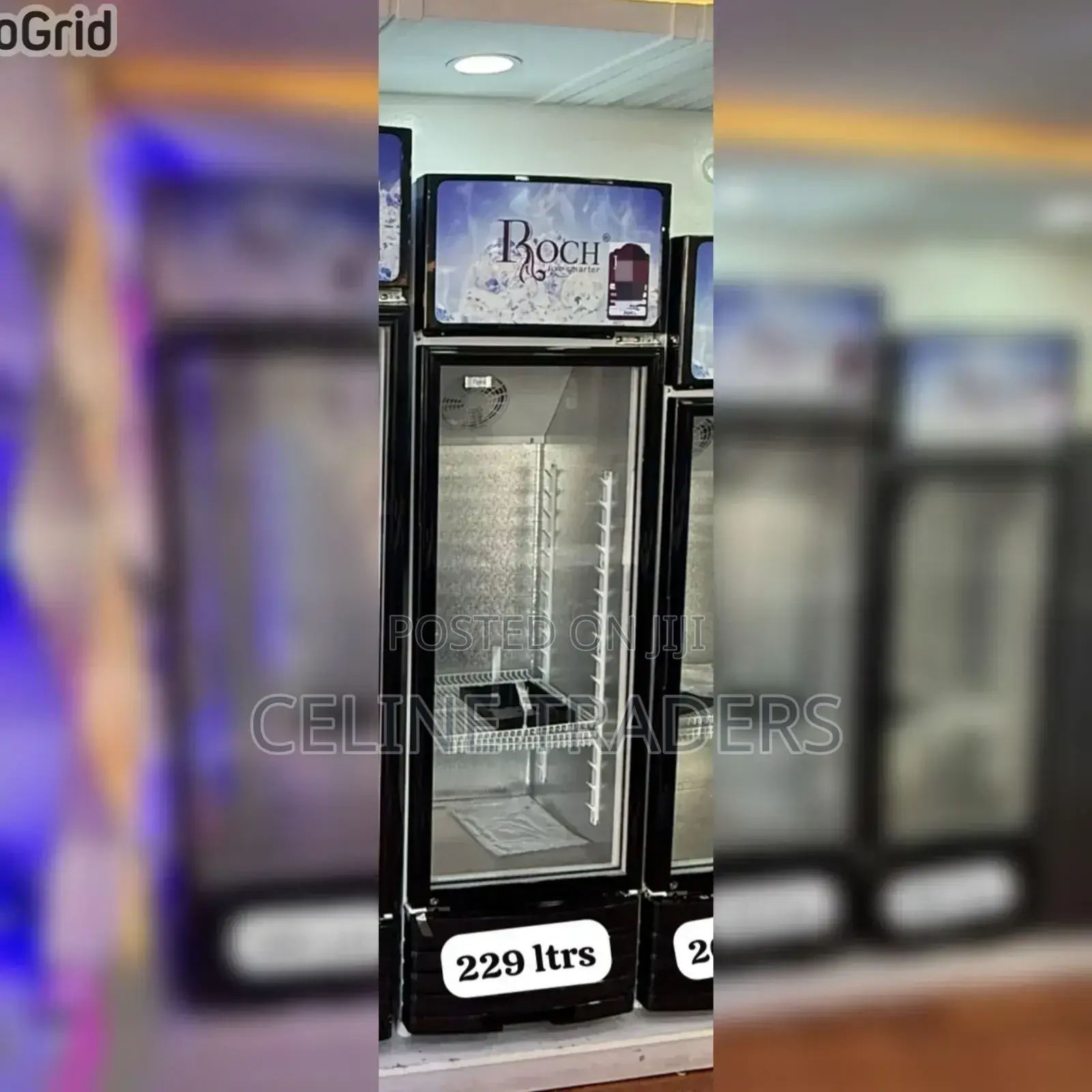 229 Litres Roch Vertical Showcase Model RSF-290-O Refrigerator