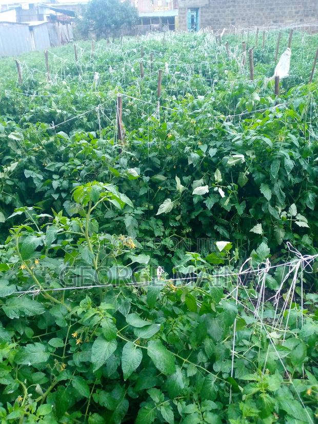 3.5 Acres - Land in Juja Farm