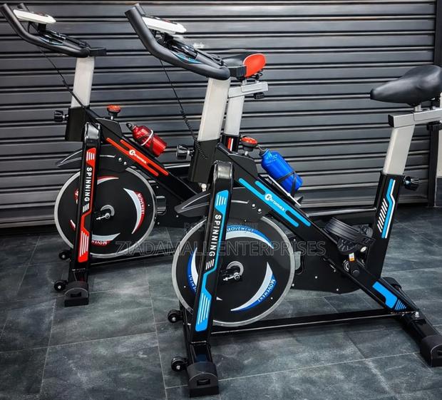 Spin Bike Compact Smart Indoor Cycling Bike