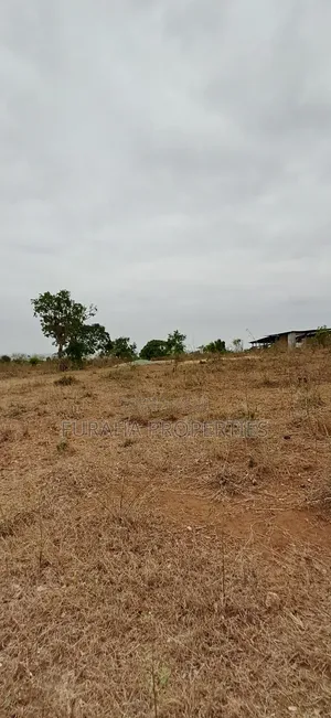 For Sale 3 Acres Prime Land Bonje Mazeras