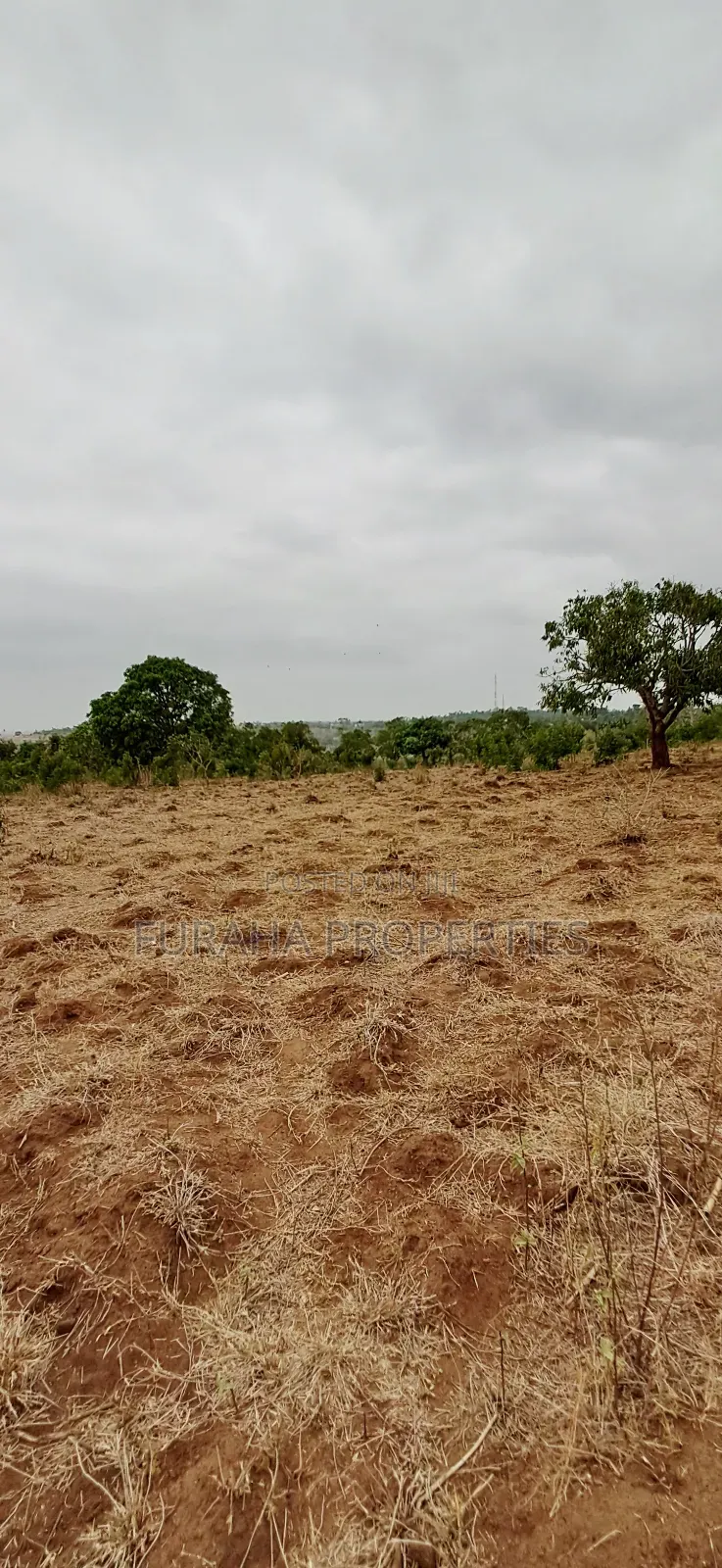 For Sale 3 Acres Prime Land Bonje Mazeras