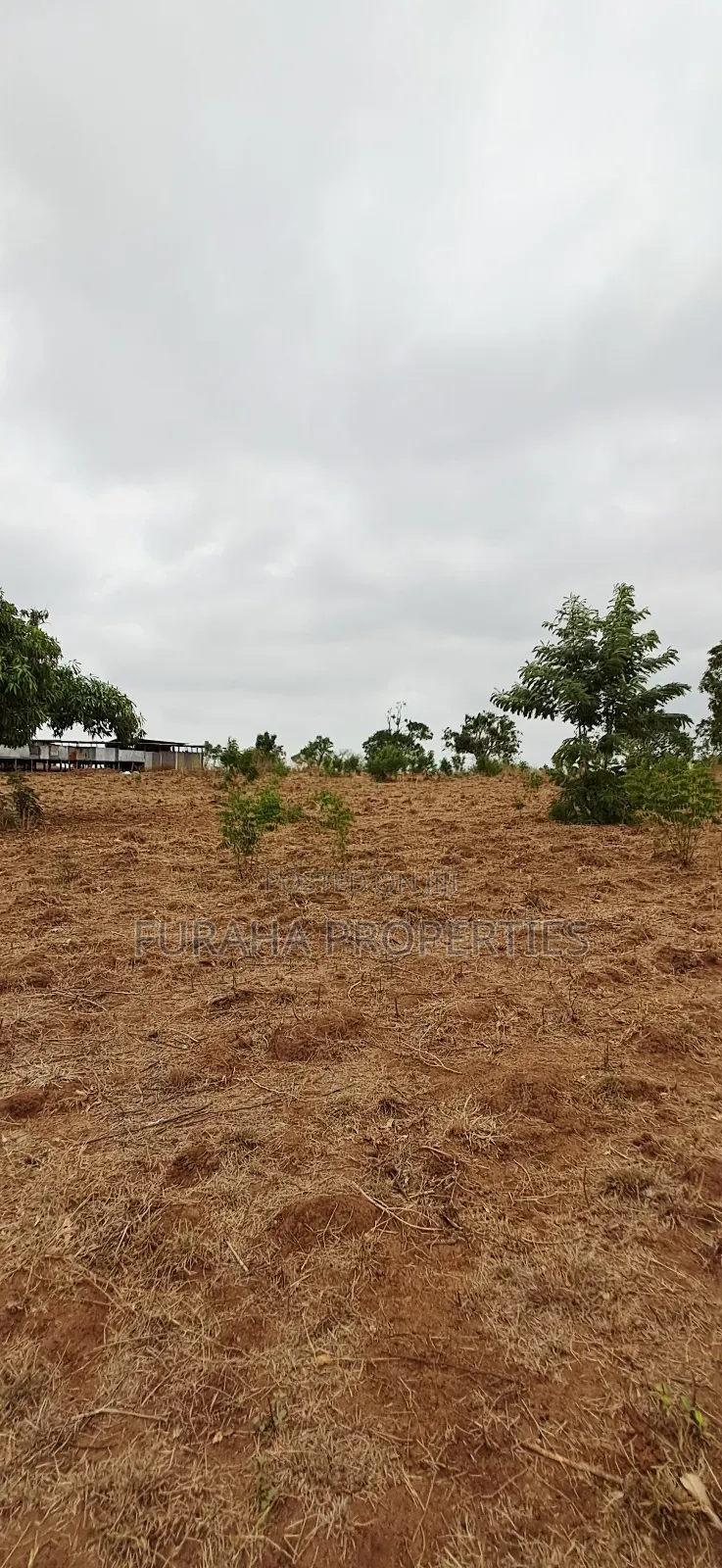 For Sale 3 Acres Prime Land Bonje Mazeras