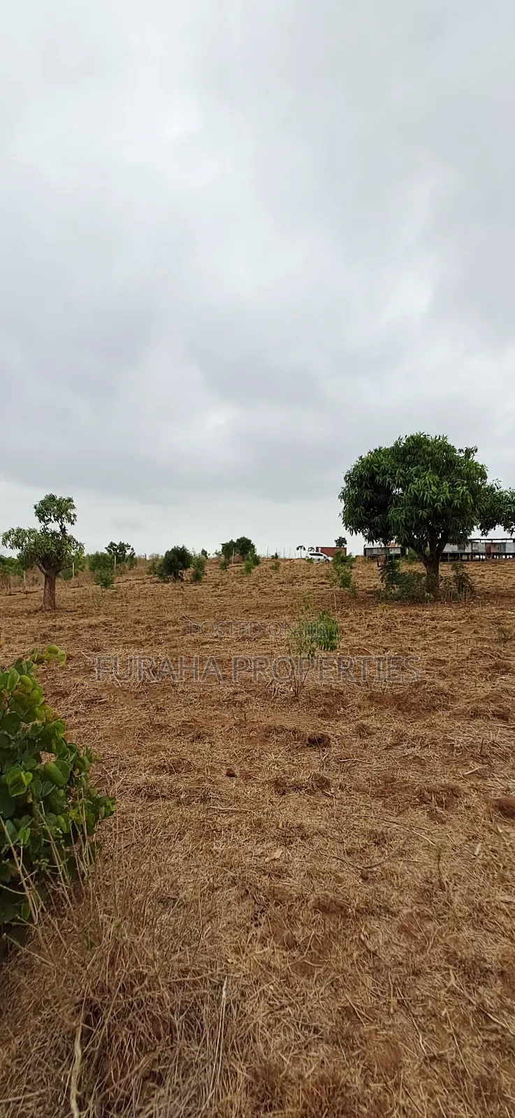 For Sale 3 Acres Prime Land Bonje Mazeras